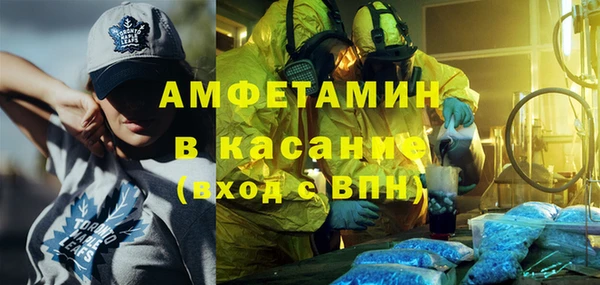 ешки Алексин