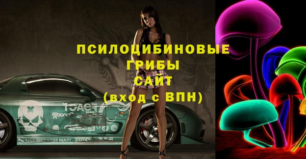 мдпв Алзамай