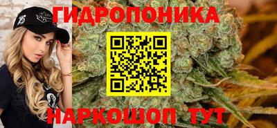 прущие грибы Саяногорск