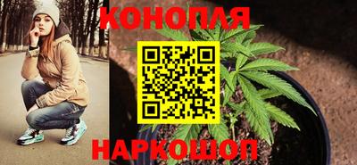 прущие грибы Саяногорск