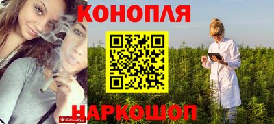 прущие грибы Саяногорск