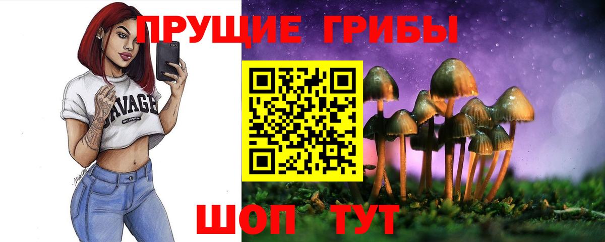 Владивосток  Псилоцибиновые грибы MAGIC MUSHROOMS  Вход с VPN 